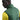 Springboks Sideline Fill Men's Vest Green Gold NIKE