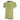 Mamelodi Sundowns TeamEvo Stripe Men's T-Shirt Green/White PUMA
